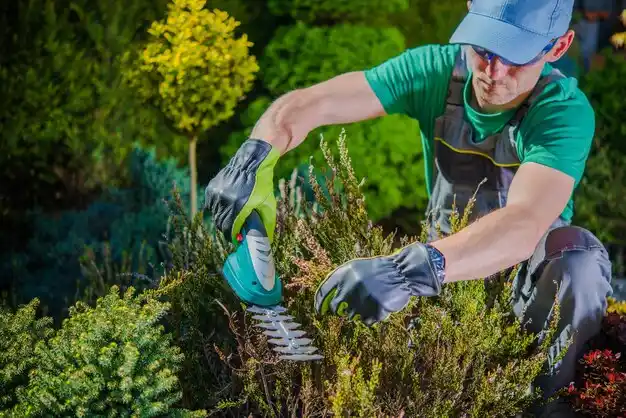 landscaping services South Lockport